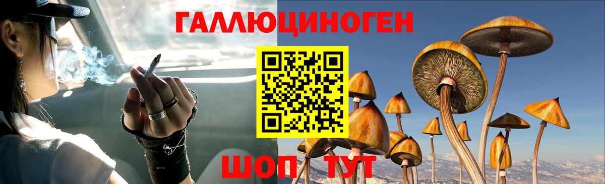 Галлюциногенные грибы MAGIC MUSHROOMS Великий Устюг